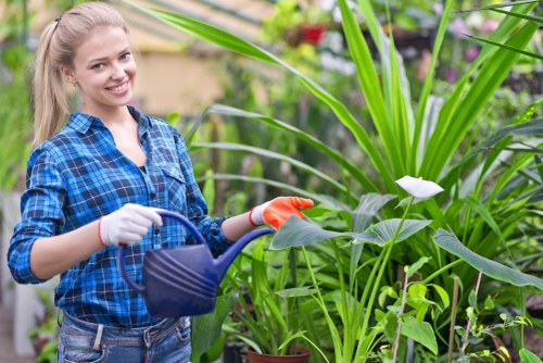 Landscaping workers maintaining ethical standards in a landscaped outdoor area