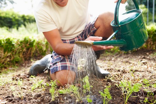 Keyboard navigation support for accessible landscaping services