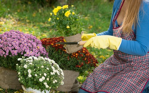 Accessibility request information for Penge landscaping website