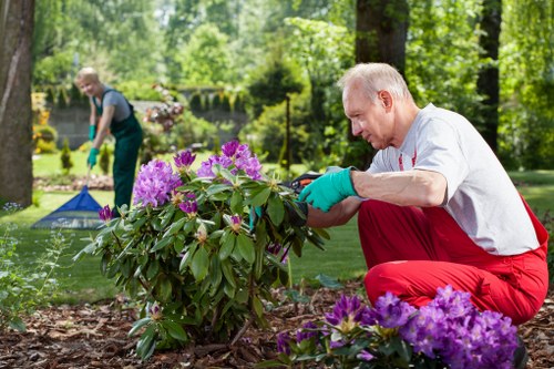 Local garden transformation features including paving and planting
