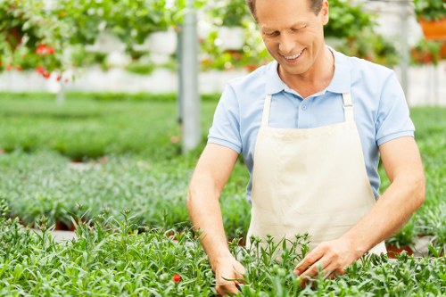 Screen-reader friendly landscaping information for the Penge area