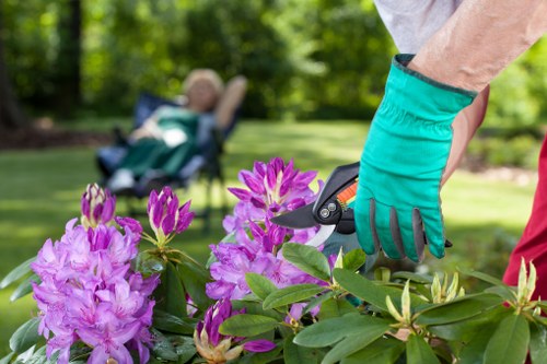 Professional garden landscaping features for Penge homes and businesses