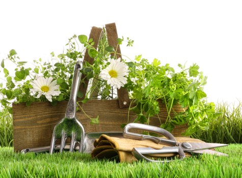 Routine review of health and safety standards in landscaping