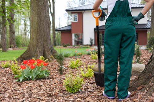 A soft landscaping project in Penge showing ground preparation and new planting