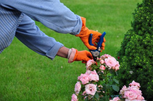 Site preparation and garden materials for landscaping service booking
