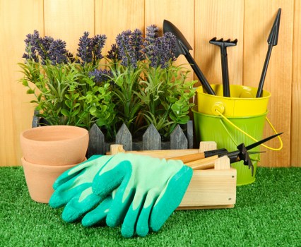 Safe and insured landscaping team carrying out outdoor work