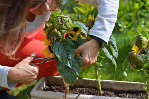 Outdoor garden build features including patio, raised beds, and neat borders
